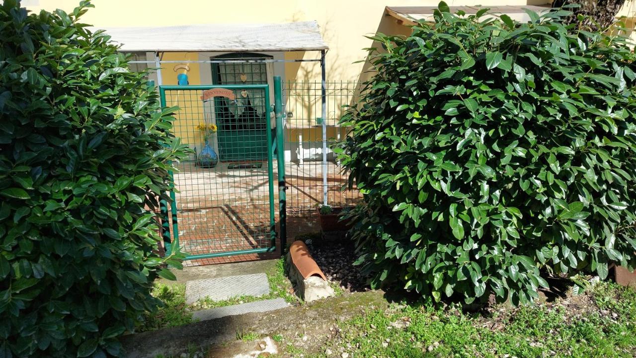 La Piccola Oasi Con Parcheggio Apartment Florence Luaran gambar